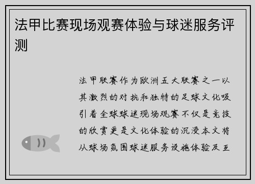 法甲比赛现场观赛体验与球迷服务评测